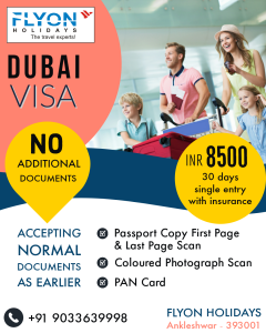 DUBAI VISA